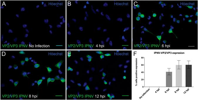 https://cdn.ncbi.nlm.nih.gov/pmc/blobs/7003/5465193/004408da6252/41598_2017_3036_Fig1_HTML.jpg