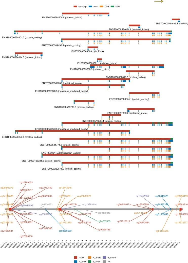 https://cdn.ncbi.nlm.nih.gov/pmc/blobs/7004/6894252/1ef2a69d5677/13072_2019_316_Fig1_HTML.jpg