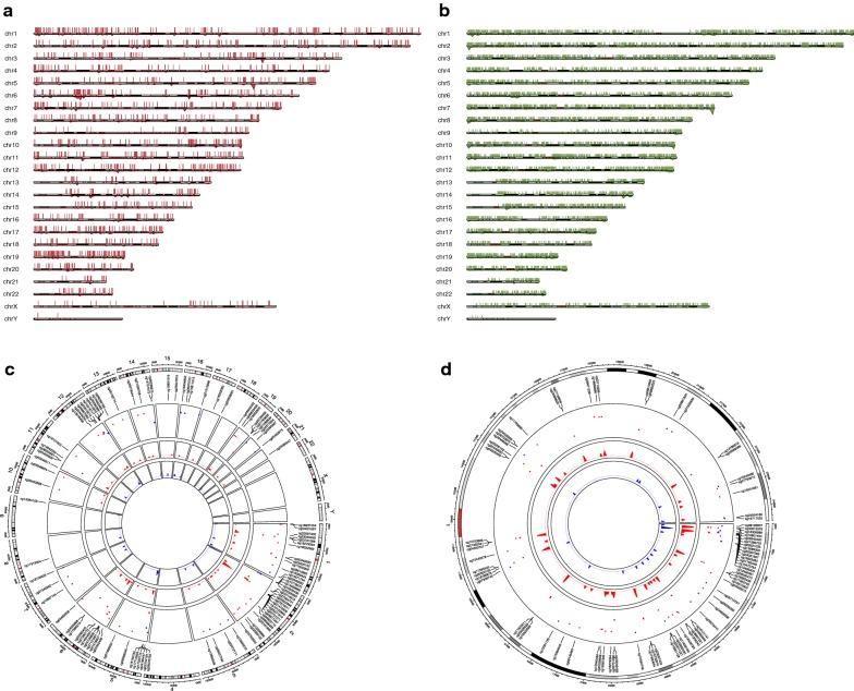 https://cdn.ncbi.nlm.nih.gov/pmc/blobs/7004/6894252/5d5a7f45887a/13072_2019_316_Fig2_HTML.jpg