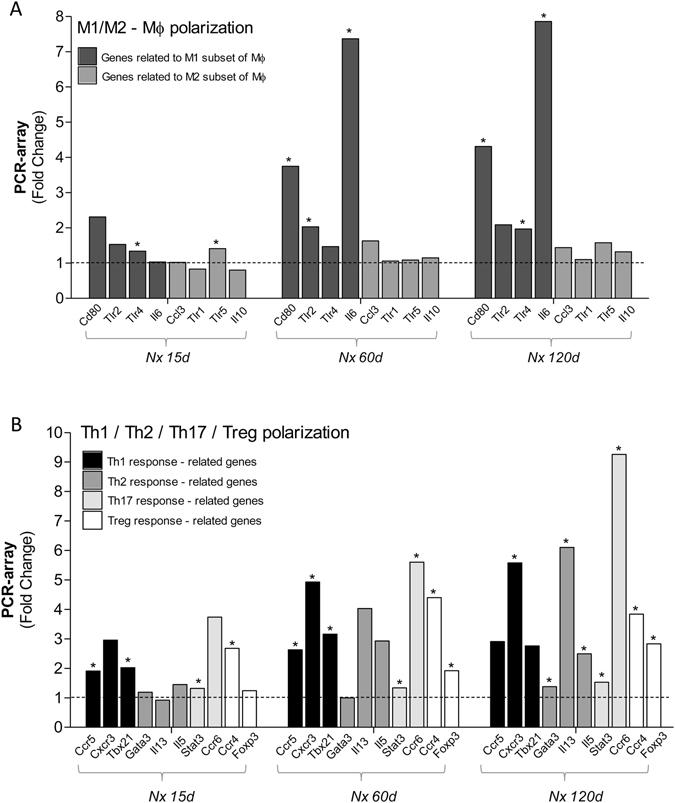 https://cdn.ncbi.nlm.nih.gov/pmc/blobs/7005/5466605/5e89c39d88dc/41598_2017_2915_Fig8_HTML.jpg