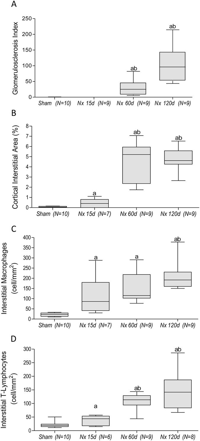 https://cdn.ncbi.nlm.nih.gov/pmc/blobs/7005/5466605/a6b978cdaff1/41598_2017_2915_Fig2_HTML.jpg