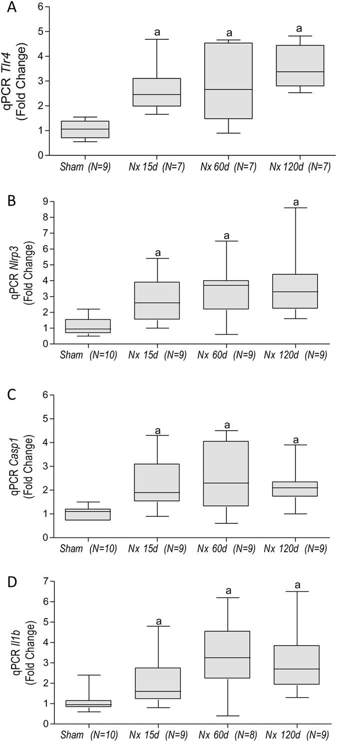 https://cdn.ncbi.nlm.nih.gov/pmc/blobs/7005/5466605/dc5ec8223ef4/41598_2017_2915_Fig5_HTML.jpg