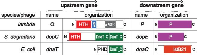 https://cdn.ncbi.nlm.nih.gov/pmc/blobs/7005/5509034/6329327d609f/evx111f3.jpg