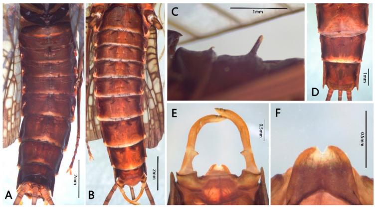 https://cdn.ncbi.nlm.nih.gov/pmc/blobs/7006/8397031/edbf6ba46083/insects-12-00723-g009.jpg