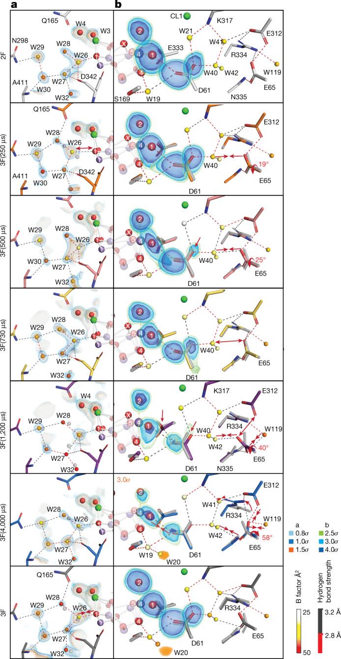 https://cdn.ncbi.nlm.nih.gov/pmc/blobs/7009/10191843/15e08a07bf98/41586_2023_6038_Fig4_HTML.jpg