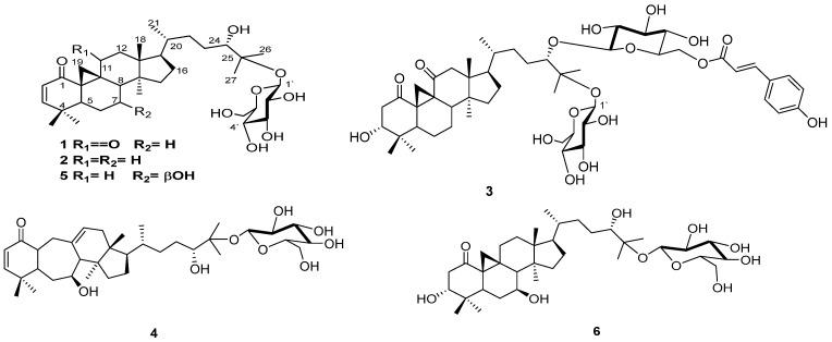 https://cdn.ncbi.nlm.nih.gov/pmc/blobs/7009/11548272/0f72426307cb/plants-13-03076-g001a.jpg
