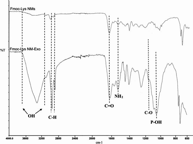 https://cdn.ncbi.nlm.nih.gov/pmc/blobs/700a/12009354/e385515bbf25/41598_2025_98706_Fig2_HTML.jpg