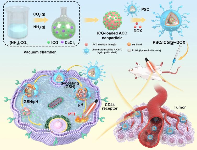 https://cdn.ncbi.nlm.nih.gov/pmc/blobs/700d/12345942/b86a896d13ca/IJN-20-9857-g0006.jpg