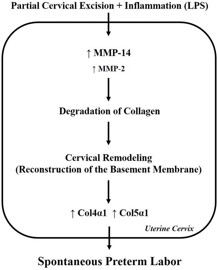 https://cdn.ncbi.nlm.nih.gov/pmc/blobs/700f/8046204/e1f5070fc05b/pone.0250108.g003.jpg
