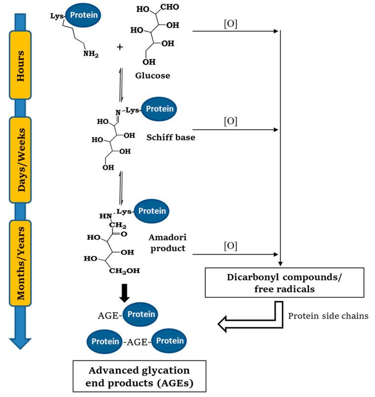 https://cdn.ncbi.nlm.nih.gov/pmc/blobs/700f/8235188/902fd57f14d7/ijms-22-06609-g001.jpg