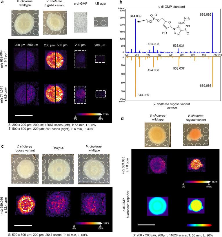 https://cdn.ncbi.nlm.nih.gov/pmc/blobs/7011/11140670/e6d218fb6e1d/ac3c04687_0001.jpg