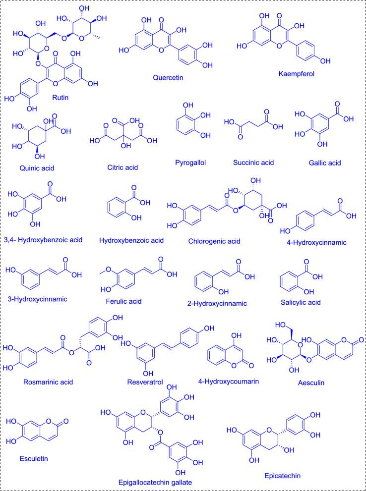 https://cdn.ncbi.nlm.nih.gov/pmc/blobs/7011/11968576/1a323b944f87/40643_2025_861_Fig1a_HTML.jpg