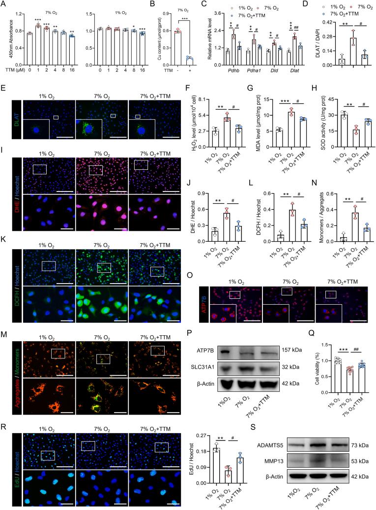 https://cdn.ncbi.nlm.nih.gov/pmc/blobs/7012/12283560/04226db4244f/gr4.jpg