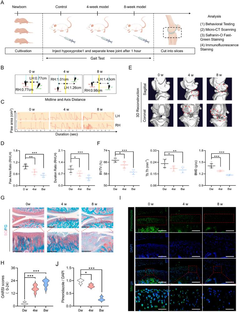 https://cdn.ncbi.nlm.nih.gov/pmc/blobs/7012/12283560/68deb27522c9/gr1.jpg