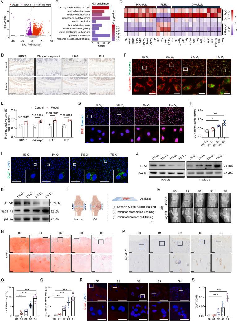 https://cdn.ncbi.nlm.nih.gov/pmc/blobs/7012/12283560/a743abbdffb6/gr3.jpg