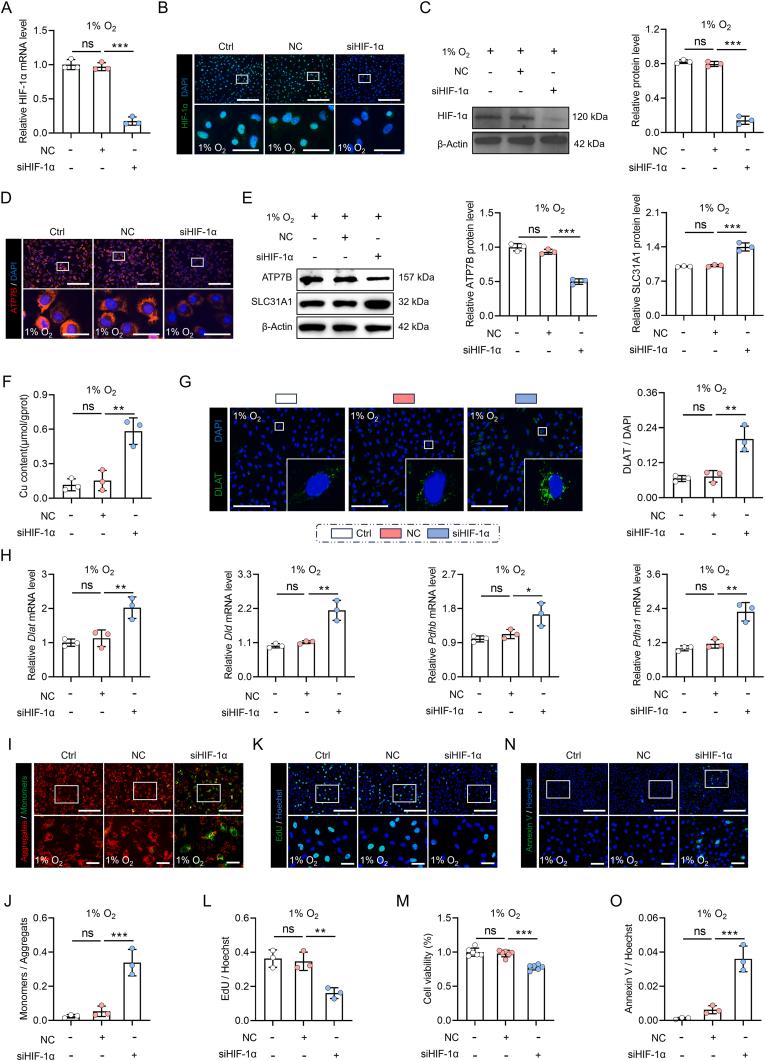 https://cdn.ncbi.nlm.nih.gov/pmc/blobs/7012/12283560/eb5c4d6c6cae/gr6.jpg