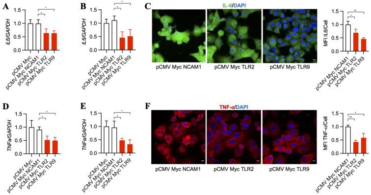 https://cdn.ncbi.nlm.nih.gov/pmc/blobs/7018/10885114/47b53b598a2c/antibodies-13-00011-g003.jpg