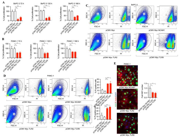 https://cdn.ncbi.nlm.nih.gov/pmc/blobs/7018/10885114/75654c063a6d/antibodies-13-00011-g001.jpg