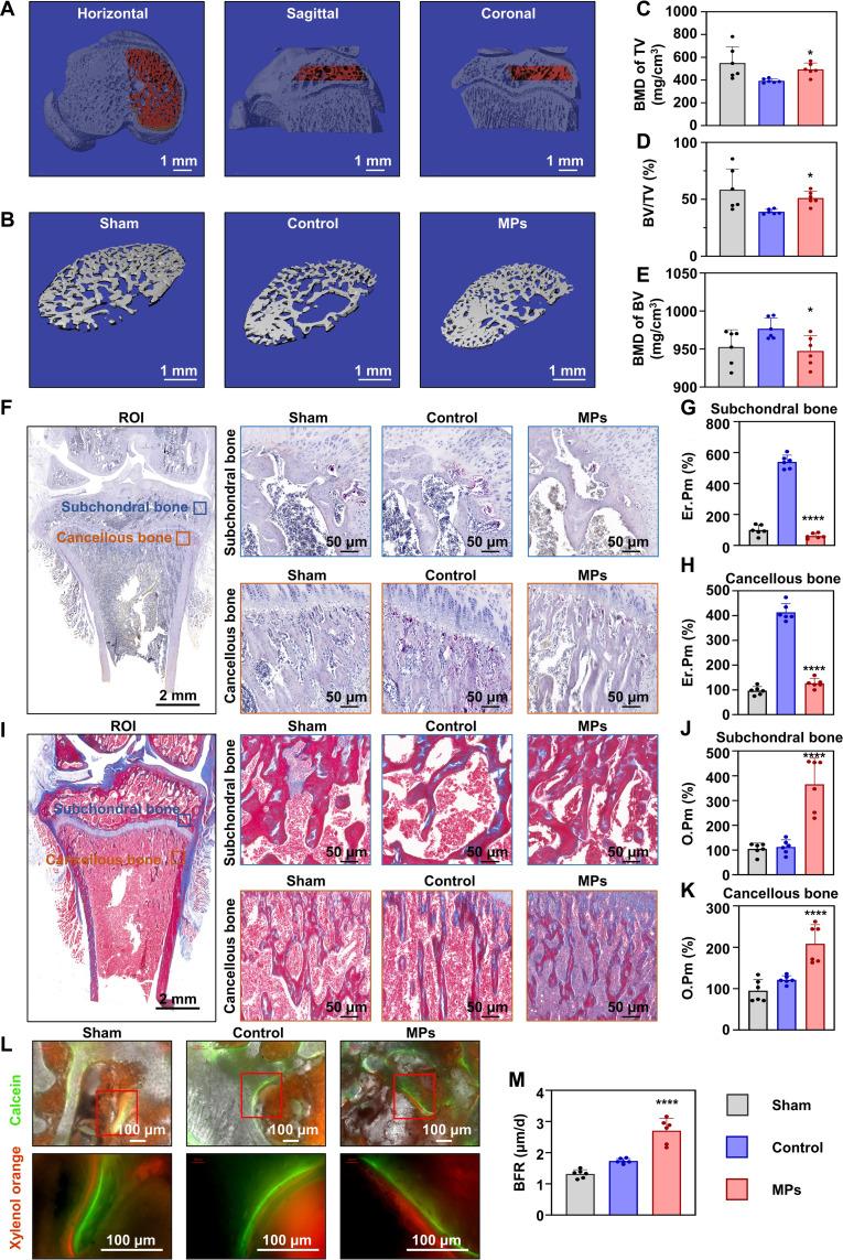 https://cdn.ncbi.nlm.nih.gov/pmc/blobs/701a/10923500/f10079ffa5ac/sciadv.adk6084-f9.jpg