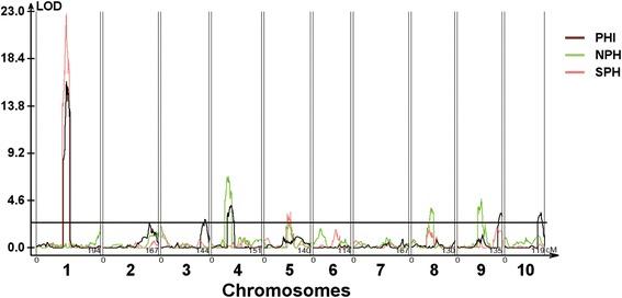 https://cdn.ncbi.nlm.nih.gov/pmc/blobs/701a/5556339/872e0cf2b02f/12870_2017_1090_Fig4_HTML.jpg