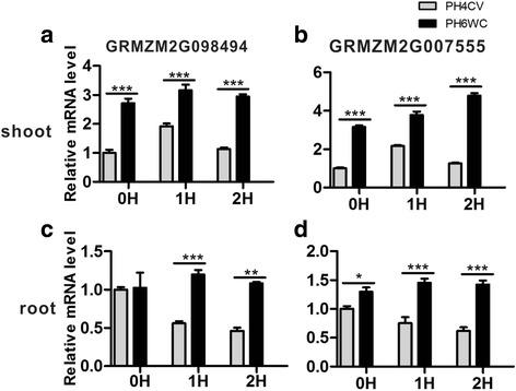 https://cdn.ncbi.nlm.nih.gov/pmc/blobs/701a/5556339/8cad09365d88/12870_2017_1090_Fig5_HTML.jpg