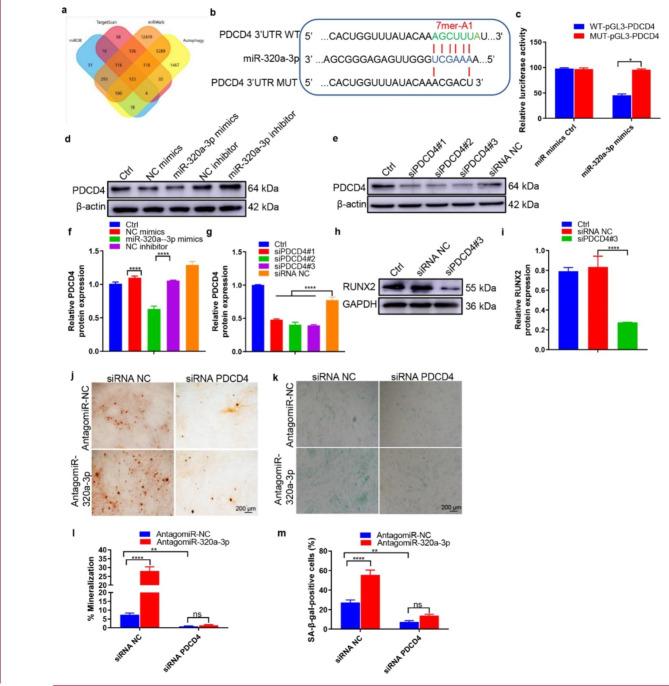 https://cdn.ncbi.nlm.nih.gov/pmc/blobs/701c/10351118/89426297c598/12951_2023_1985_Fig7_HTML.jpg