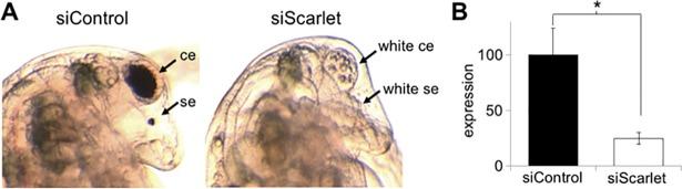 https://cdn.ncbi.nlm.nih.gov/pmc/blobs/701c/6235260/2c0cf305cc36/pone.0205609.g004.jpg