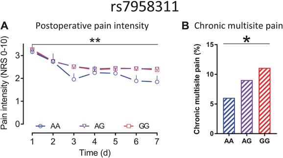 https://cdn.ncbi.nlm.nih.gov/pmc/blobs/701f/5965926/6497c0e8d37a/jop-159-1064-g008.jpg