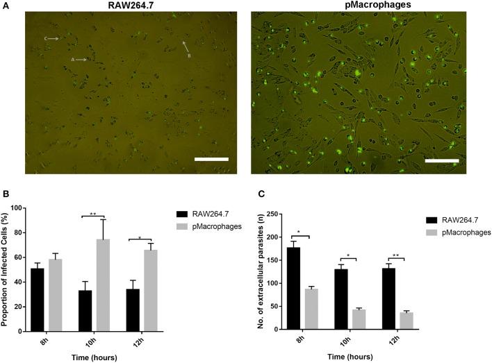 https://cdn.ncbi.nlm.nih.gov/pmc/blobs/701f/7190871/837b1ddb5e92/fimmu-11-00656-g0001.jpg