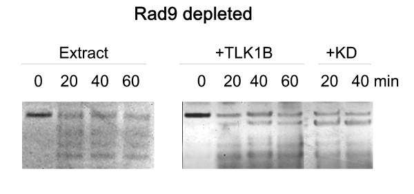 https://cdn.ncbi.nlm.nih.gov/pmc/blobs/7020/2803485/8f46bb4e7fc0/1471-2199-10-110-3.jpg