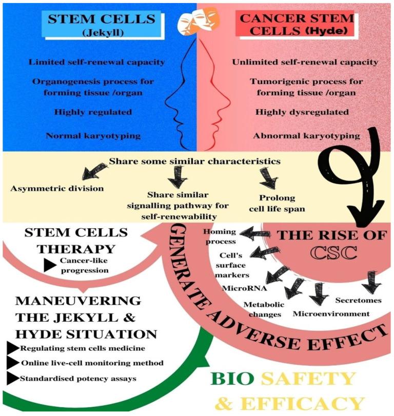 https://cdn.ncbi.nlm.nih.gov/pmc/blobs/7020/8468168/01b3c5efbfe5/biomedicines-09-01245-g001.jpg