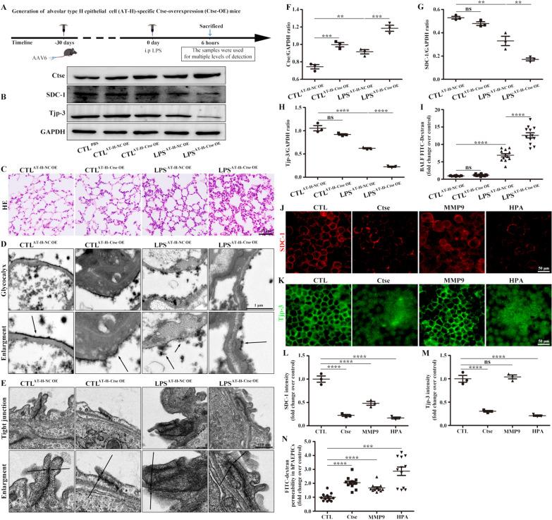 https://cdn.ncbi.nlm.nih.gov/pmc/blobs/7021/10334539/220de34f32f3/12931_2023_2488_Fig6_HTML.jpg