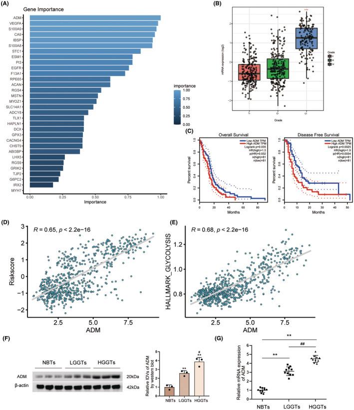 https://cdn.ncbi.nlm.nih.gov/pmc/blobs/7021/10853657/6304f4711803/CNS-30-e14601-g010.jpg