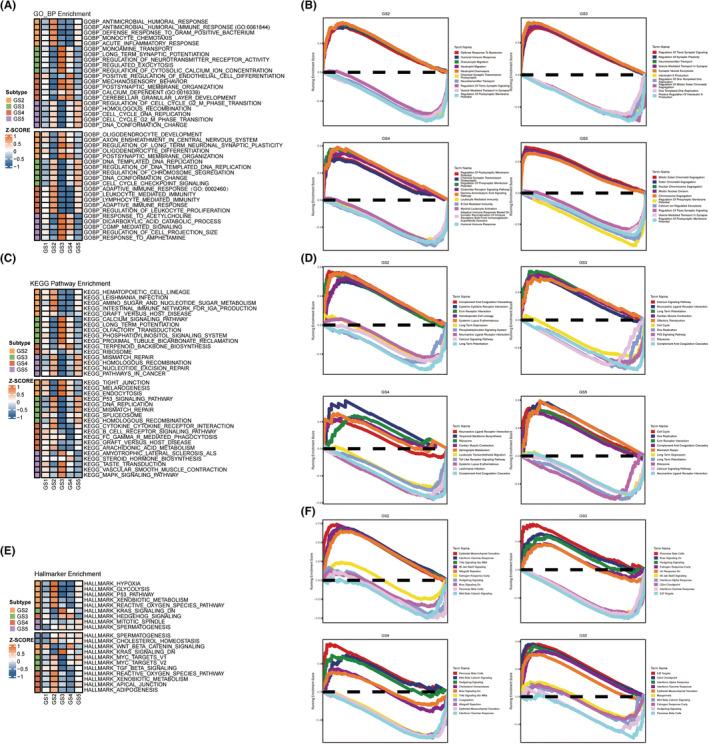 https://cdn.ncbi.nlm.nih.gov/pmc/blobs/7021/10853657/653d5d232a4f/CNS-30-e14601-g005.jpg