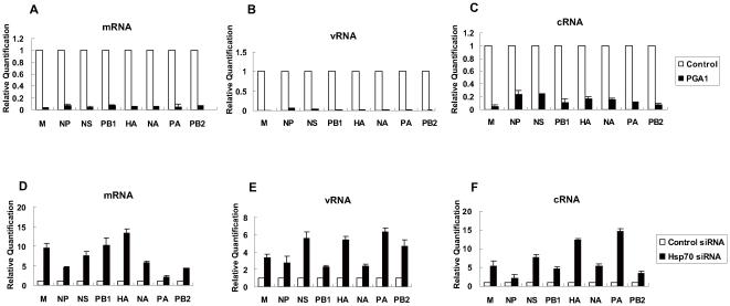 https://cdn.ncbi.nlm.nih.gov/pmc/blobs/7027/3044721/78ff1285153d/pone.0016546.g005.jpg