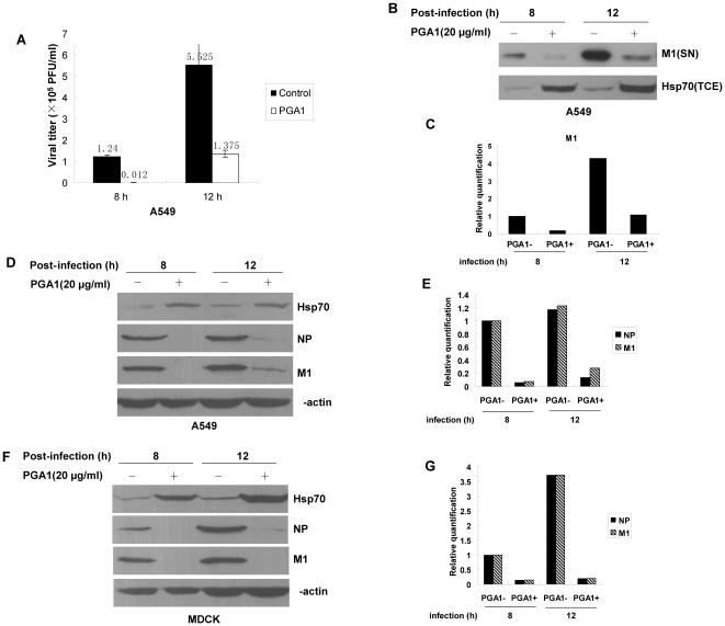 https://cdn.ncbi.nlm.nih.gov/pmc/blobs/7027/3044721/d3c7441cb7fc/pone.0016546.g004.jpg