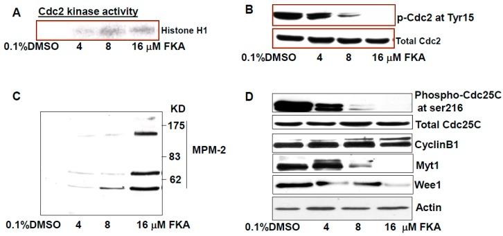 https://cdn.ncbi.nlm.nih.gov/pmc/blobs/7028/6155306/91d9c4d1d032/molecules-22-00462-g003.jpg