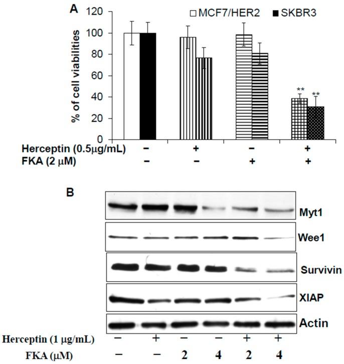https://cdn.ncbi.nlm.nih.gov/pmc/blobs/7028/6155306/eaaeac5c997d/molecules-22-00462-g005.jpg