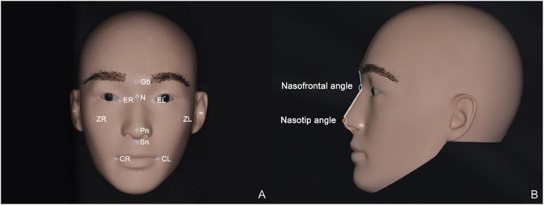 https://cdn.ncbi.nlm.nih.gov/pmc/blobs/702d/11976589/5b7dc133eb18/gr2.jpg