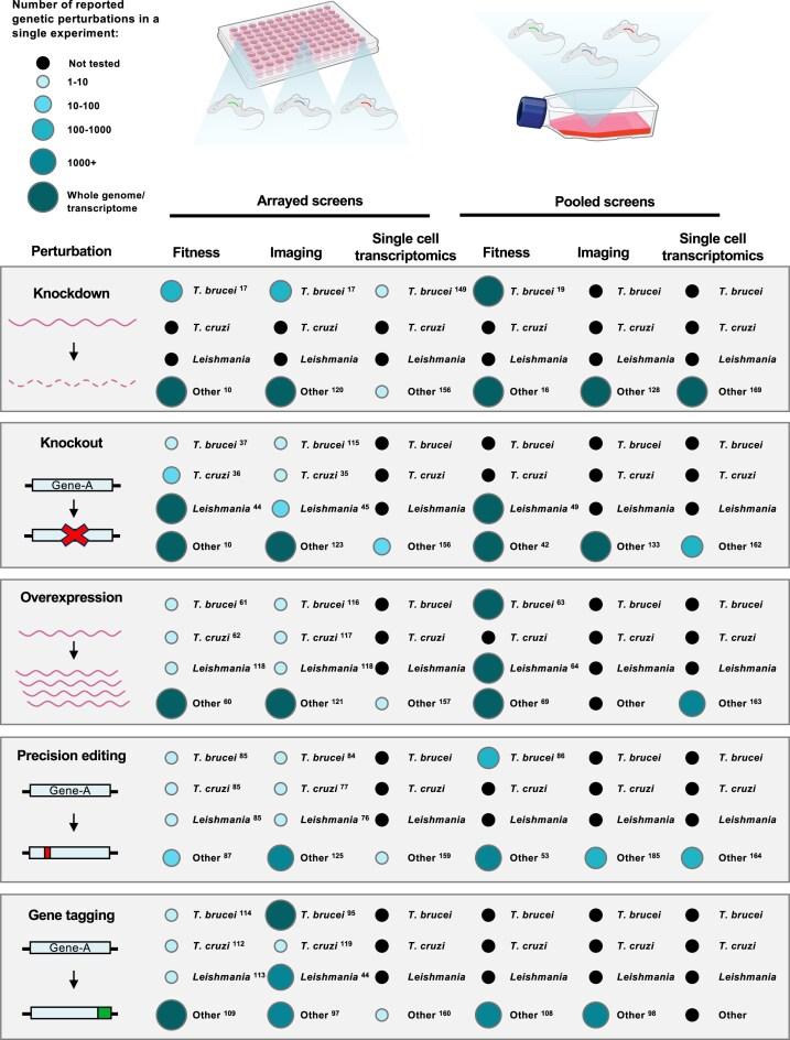 https://cdn.ncbi.nlm.nih.gov/pmc/blobs/702d/12203798/e77295c77f3c/gkaf515fig3.jpg