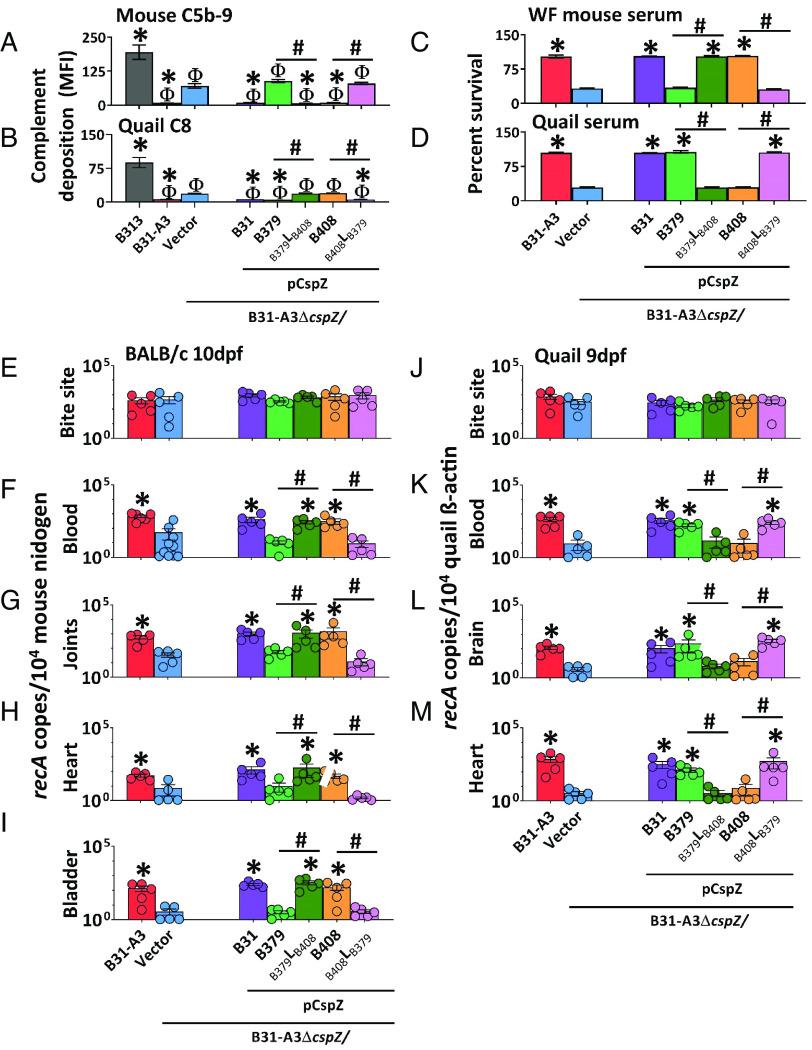 https://cdn.ncbi.nlm.nih.gov/pmc/blobs/702e/10319004/ae3a7f7a1881/pnas.2301549120fig03.jpg