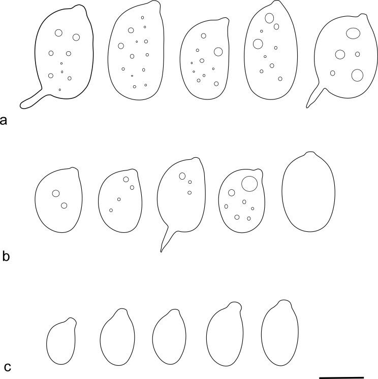 https://cdn.ncbi.nlm.nih.gov/pmc/blobs/7030/7225582/0384a440aa2c/fuse-2018-2-9-g018.jpg