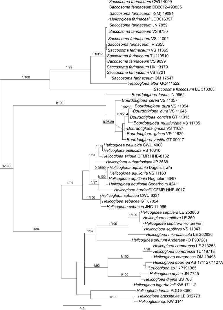 https://cdn.ncbi.nlm.nih.gov/pmc/blobs/7030/7225582/30412290e0ab/fuse-2018-2-9-g002.jpg