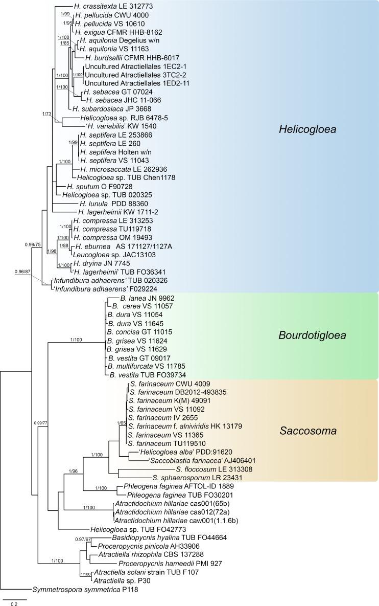 https://cdn.ncbi.nlm.nih.gov/pmc/blobs/7030/7225582/ad9316b72f01/fuse-2018-2-9-g001.jpg