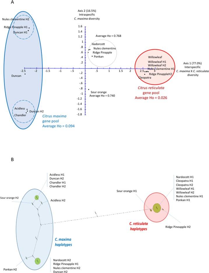 https://cdn.ncbi.nlm.nih.gov/pmc/blobs/7032/6771394/10ecdcf817a0/fpls-10-01128-g002.jpg