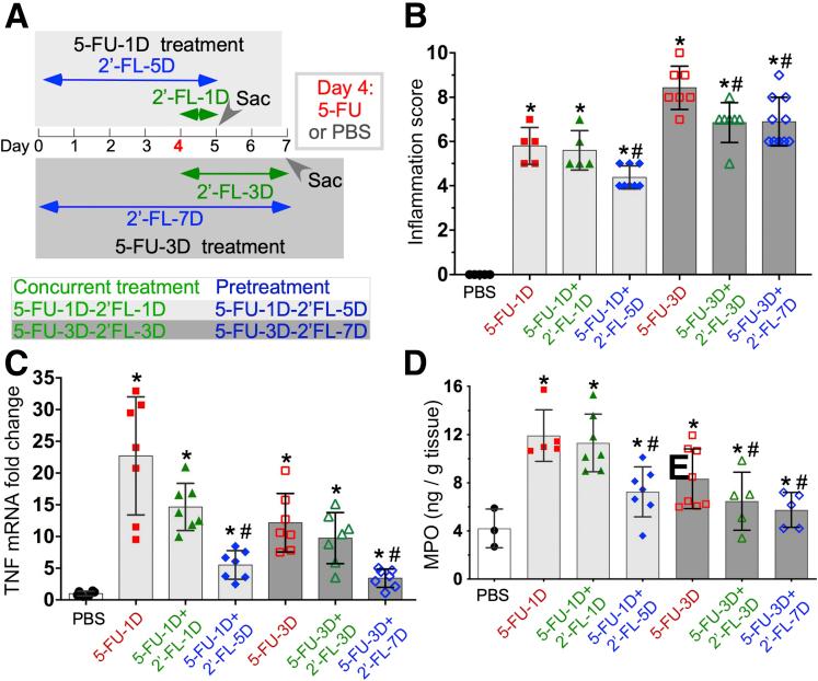 https://cdn.ncbi.nlm.nih.gov/pmc/blobs/7033/8688723/40ea579dcc3e/gr6.jpg