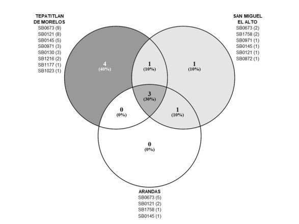 https://cdn.ncbi.nlm.nih.gov/pmc/blobs/7034/7105993/0d19045ab6cc/jvetres-64-051-g003.jpg