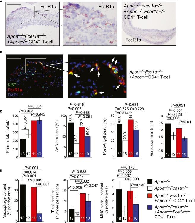 https://cdn.ncbi.nlm.nih.gov/pmc/blobs/7036/4119357/03df33869a88/emmm0006-0952-f3.jpg