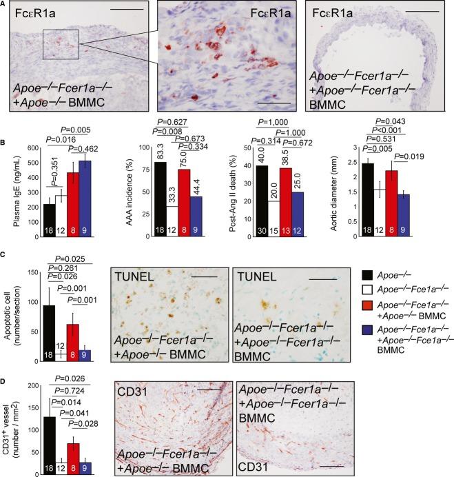 https://cdn.ncbi.nlm.nih.gov/pmc/blobs/7036/4119357/83f0955dbdf6/emmm0006-0952-f4.jpg