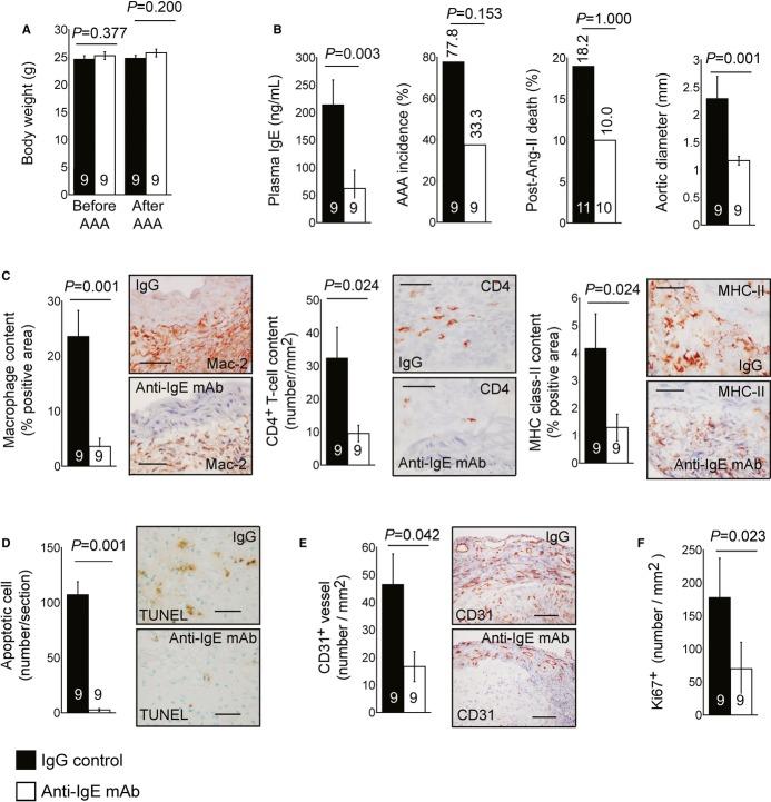 https://cdn.ncbi.nlm.nih.gov/pmc/blobs/7036/4119357/e7c19fc9c1b8/emmm0006-0952-f6.jpg
